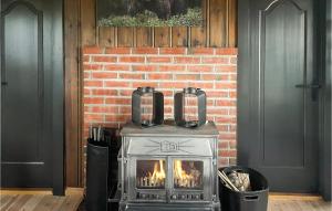 Pet Friendly Home In Østby With Wifi