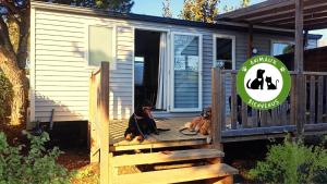 Entre Mer et Roseaux - Piscine - Proche centre et mer - Petfriendly