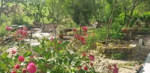 Lovely little house - ancienne ferme renovée - Hotonnes