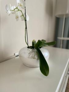 Apartament utilat cu parcare privata