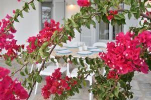 Aspro Villas Paros Greece