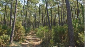 La maison des glycines