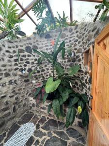 Monteverde Alas Glamping