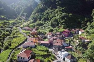 Roots Guesthouse - A