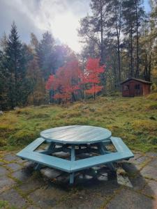Our Log House in the woods