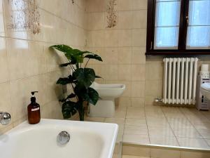 Sleep & Fly - Immobili e Soluzioni Rent