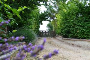 Maisons de vacances Gite Les Lavandes : photos des chambres
