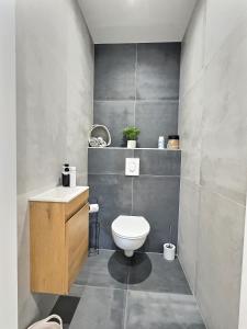 Appartements Alsace Colmar Appartement climatisee garage, parking et terrasse : photos des chambres