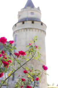 B&B / Chambres d'hotes Chateau de Bonneval : photos des chambres