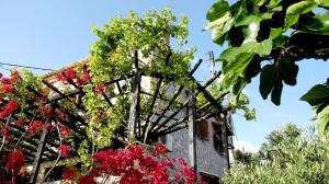 Papanestoras Apartments Messinia Greece