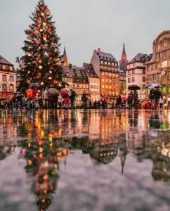 Hyper Centre Krutenau Étoile Bourse Appart