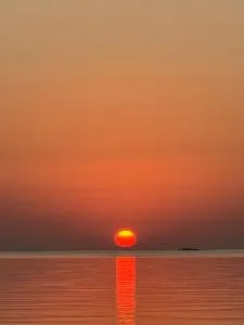 99 steg från Vänerns strand - Tattertorp