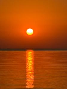 99 steg från Vänerns strand