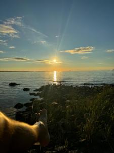 99 steg från Vänerns strand