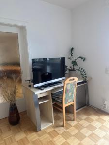 Helle Wohnung in grüner Lage - Nähe Linz Zentrum