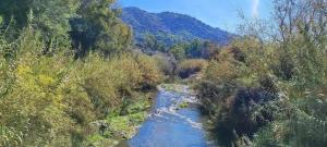 Coqueto Estudio en plena naturaleza en Río Grande