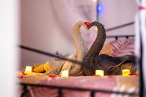 Appartements Il Etait Une Fois - GAP Chambre romantique & SPA : photos des chambres