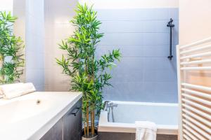 Confort et Espace 12pers centre Lamartine