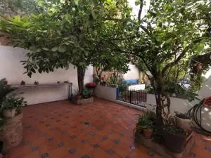 Casa Galeria Colibri - 圣路易斯波托西