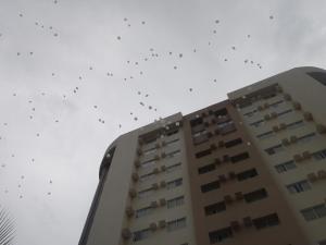 Apartamentos Le Jardin Caldas Novas