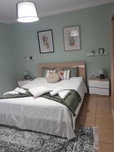 Casa Amado - 福什科阿新镇