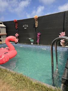 Kackar Kamp istanbul