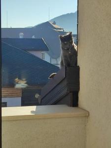 ТОП Локация и УЮТ