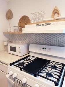 Hidden Tropical Gem Calle Ocho 1