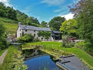 Idyllic country house & organic swim pond - Colyton