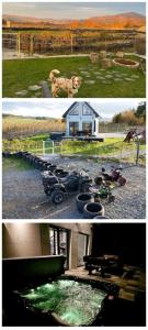 DOMEK W SŁONECZNIKACH, JACUZZI, QUADY, Góry