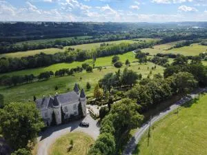 Château Haute Roche - 昂瑟尼