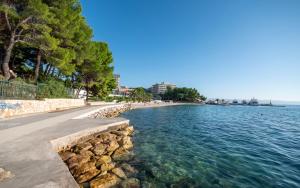 Apartments Residence suits Lav