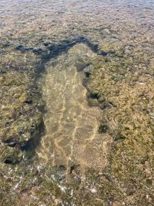 Guarajuba Village Térreo 3 quartos - Genipabu Summer Residence