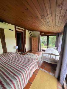 Villas Landaise 12 couchages - piscine tennis boulodrome prives - proche lacs & ocean : photos des chambres