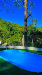 Sítio das Palmeiras