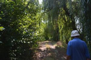 Vila Lac - Ecohotel - Domeniul Sarulesti by the Lake