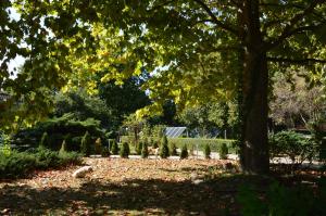 Vila Lac - Ecohotel - Domeniul Sarulesti by the Lake