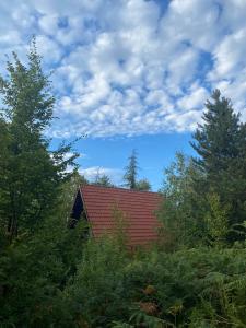 Vila Eden Rudnik