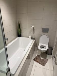 Charming city center apartment Pullman