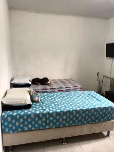 Casa Luna - Réveillon