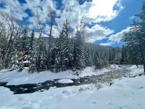 Cozy Log Cabin on the Florida River- Only 15 mins from Downtown Durango