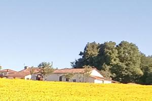 Maisons de vacances Gite Magic Couples only one level spacious Gite : photos des chambres