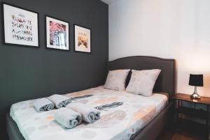 Appartements Le Douillet Cocon - Centre : photos des chambres