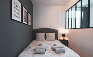 Appartements Le Douillet Cocon - Centre : photos des chambres