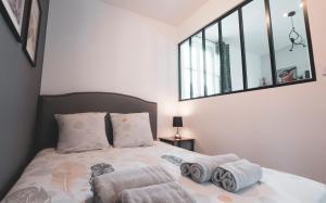Appartements Le Douillet Cocon - Centre : photos des chambres