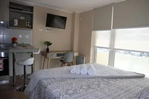 Centro Osorno Express - 奥索尔诺