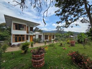 CABAÑAS GOLDEN TANAGER