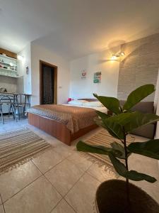Apartments by the sea Trpanj, Peljesac - 16004