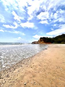 Casa Pelícano -suite albatros-