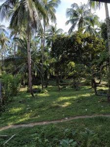 Buhay Probinsya - Bubolongan